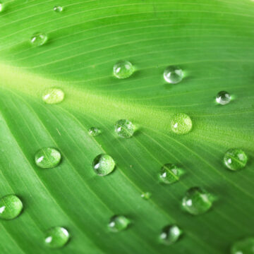 Kategorija proizvoda Solvent, UV i Latex - Multijet katalog